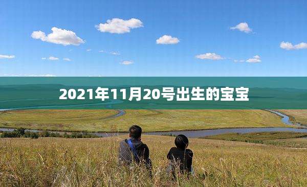 2021年11月20号出生的宝宝