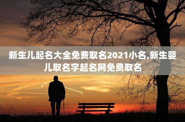 新生儿起名大全免费取名2021小名,新生婴儿取名字起名网免费取名