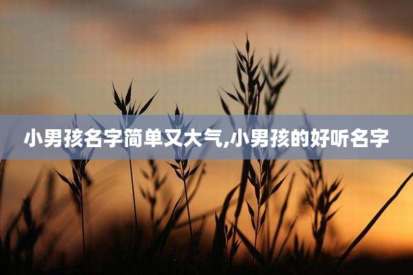 小男孩名字简单又大气,小男孩的好听名字
