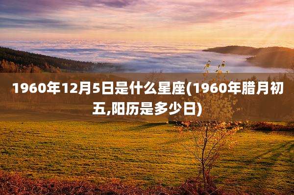 1960年12月5日是什么星座(1960年腊月初五,阳历是多少日)