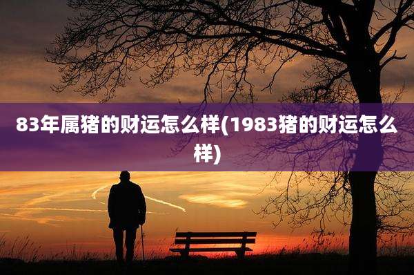 83年属猪的财运怎么样(1983猪的财运怎么样)