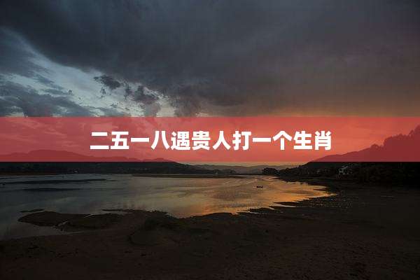二五一八遇贵人打一个生肖