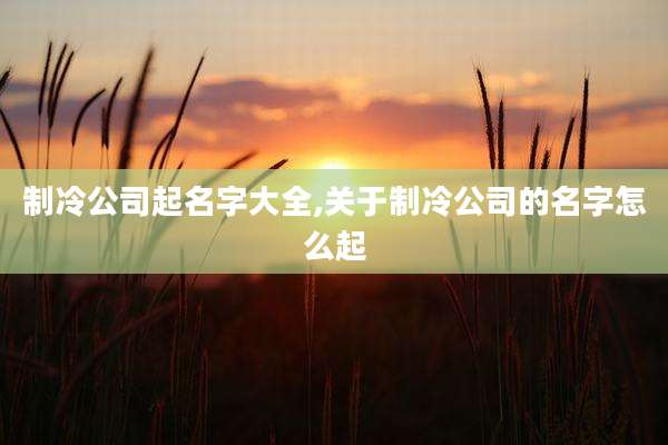 制冷公司起名字大全,关于制冷公司的名字怎么起