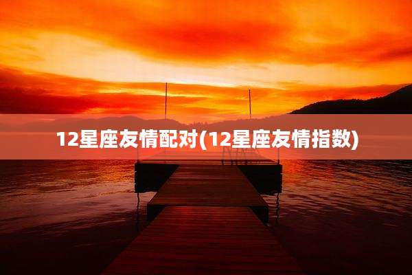 12星座友情配对(12星座友情指数)