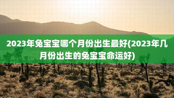 2023年兔宝宝哪个月份出生最好(2023年几月份出生的兔宝宝命运好)