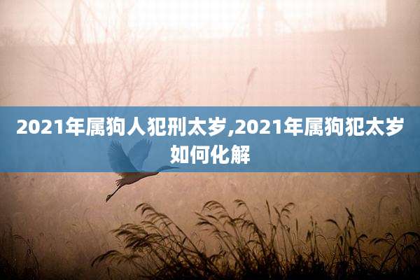2021年属狗人犯刑太岁,2021年属狗犯太岁如何化解