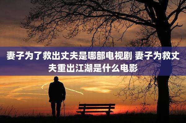 妻子为了救出丈夫是哪部电视剧 妻子为救丈夫重出江湖是什么电影