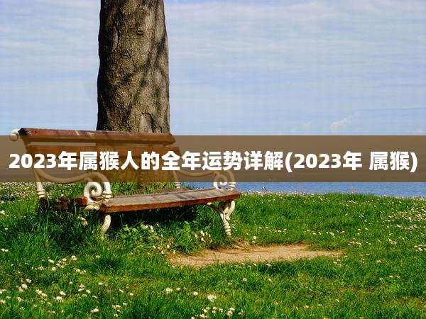2023年属猴人的全年运势详解(2023年 属猴)