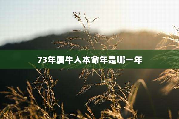 73年属牛人本命年是哪一年