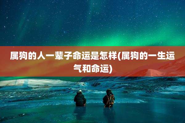 属狗的人一辈子命运是怎样(属狗的一生运气和命运)