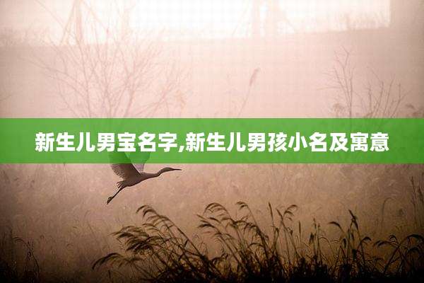 新生儿男宝名字,新生儿男孩小名及寓意