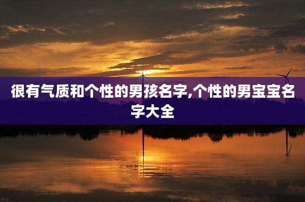 很有气质和个性的男孩名字,个性的男宝宝名字大全