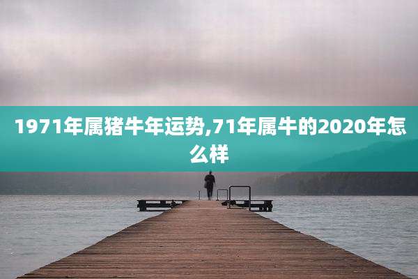 1971年属猪牛年运势,71年属牛的2020年怎么样