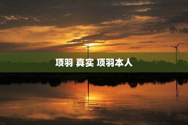 项羽 真实 项羽本人
