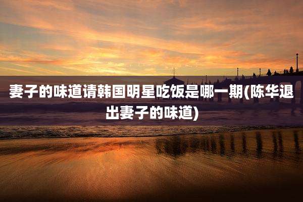 妻子的味道请韩国明星吃饭是哪一期(陈华退出妻子的味道)