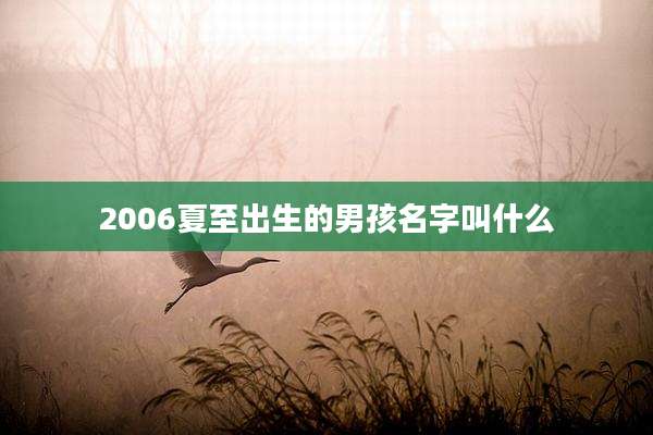 2006夏至出生的男孩名字叫什么