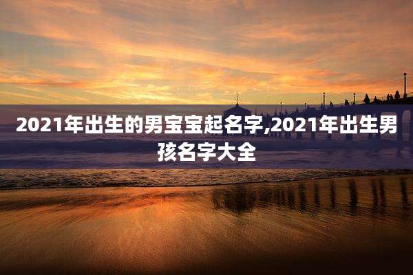 2021年出生的男宝宝起名字,2021年出生男孩名字大全