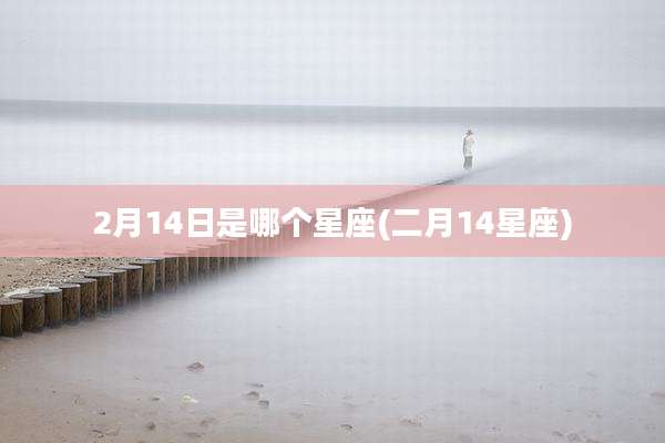 2月14日是哪个星座(二月14星座)