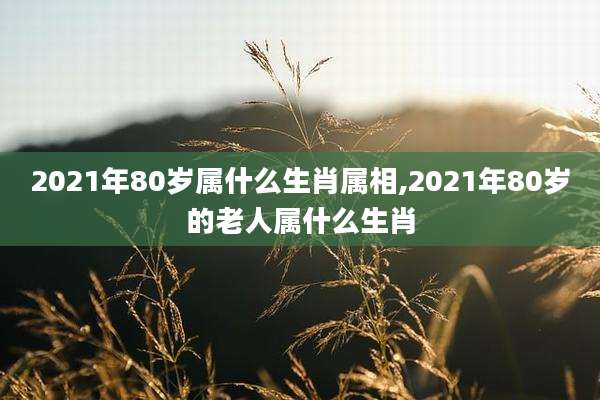 2021年80岁属什么生肖属相,2021年80岁的老人属什么生肖