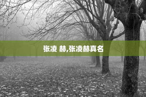 张凌 赫,张凌赫真名
