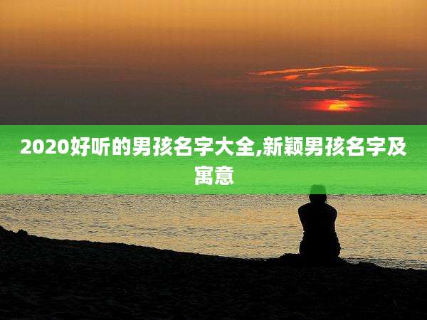 2020好听的男孩名字大全,新颖男孩名字及寓意