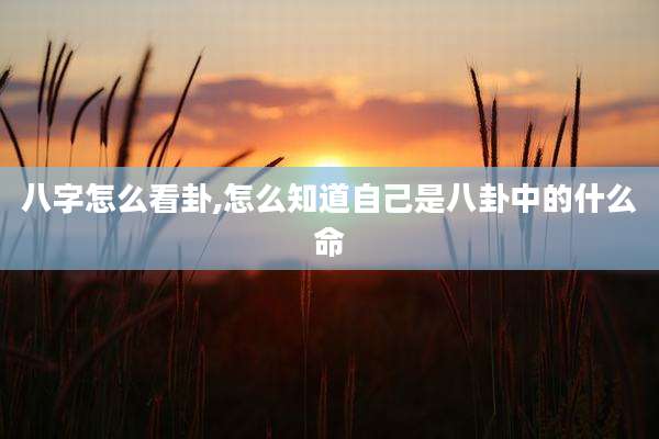八字怎么看卦,怎么知道自己是八卦中的什么命
