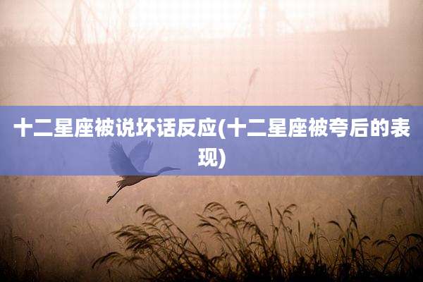 十二星座被说坏话反应(十二星座被夸后的表现)