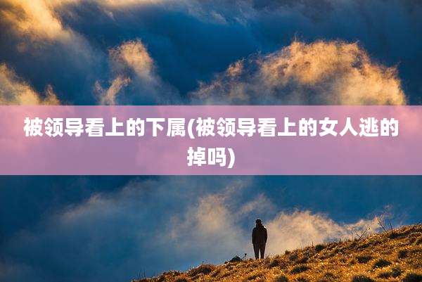 被领导看上的下属(被领导看上的女人逃的掉吗)
