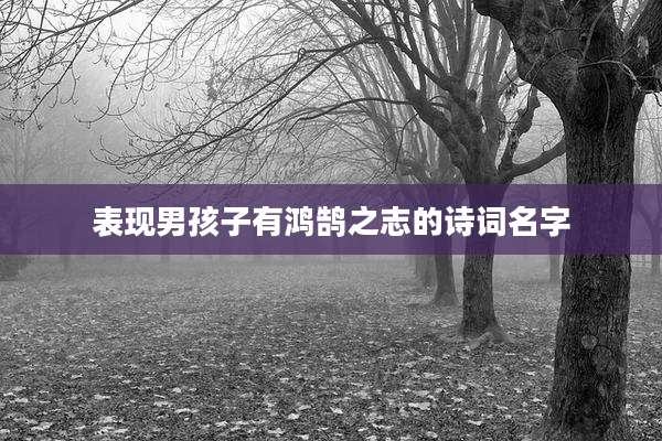 表现男孩子有鸿鹄之志的诗词名字