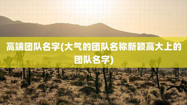 高端团队名字(大气的团队名称新颖高大上的团队名字)