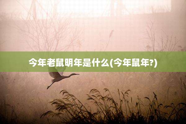 今年老鼠明年是什么(今年鼠年?)