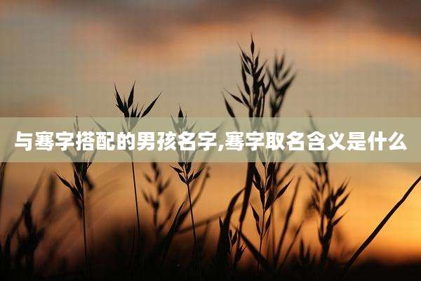 与骞字搭配的男孩名字,骞字取名含义是什么