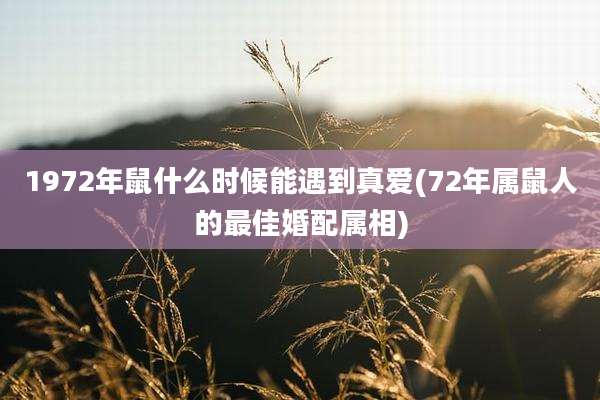 1972年鼠什么时候能遇到真爱(72年属鼠人的最佳婚配属相)