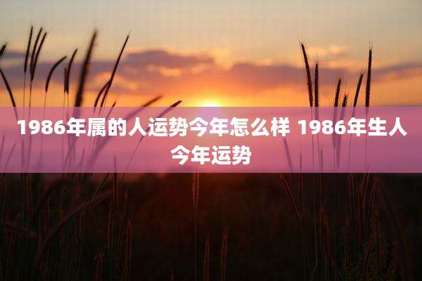 1986年属的人运势今年怎么样 1986年生人今年运势