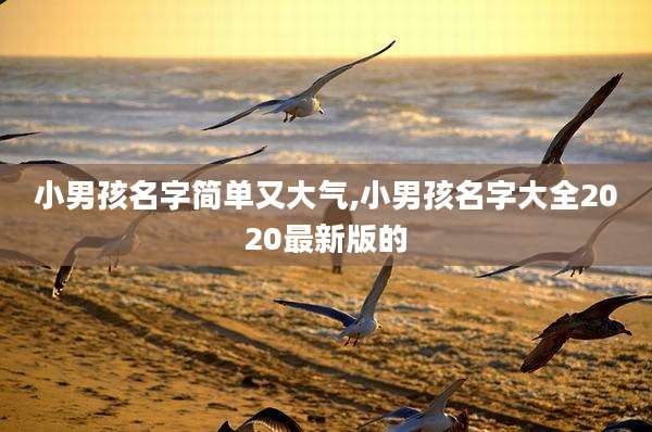 小男孩名字简单又大气,小男孩名字大全2020最新版的