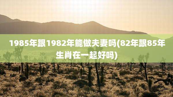 1985年跟1982年能做夫妻吗(82年跟85年生肖在一起好吗)