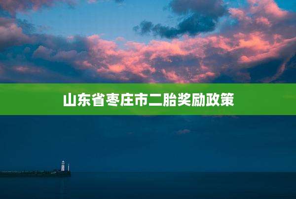 山东省枣庄市二胎奖励政策