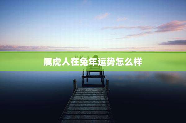 属虎人在兔年运势怎么样