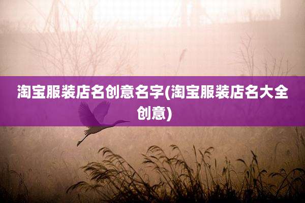淘宝服装店名创意名字(淘宝服装店名大全 创意)