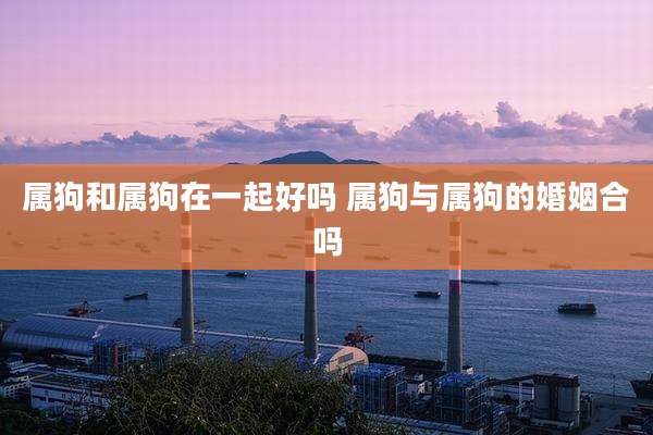 属狗和属狗在一起好吗 属狗与属狗的婚姻合吗