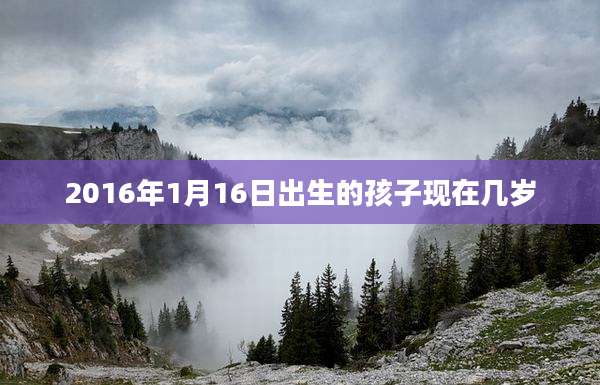 2016年1月16日出生的孩子现在几岁