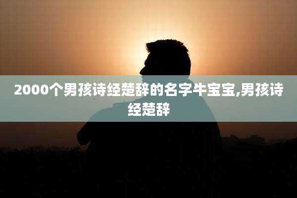 2000个男孩诗经楚辞的名字牛宝宝,男孩诗经楚辞