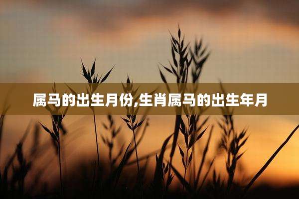 属马的出生月份,生肖属马的出生年月