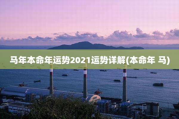 马年本命年运势2021运势详解(本命年 马)