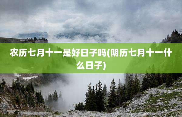 农历七月十一是好日子吗(阴历七月十一什么日子)