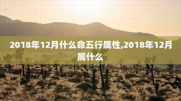 2018年12月什么命五行属性,2018年12月属什么