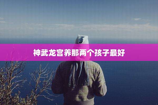 神武龙宫养那两个孩子最好