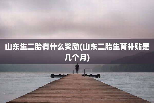山东生二胎有什么奖励(山东二胎生育补贴是几个月)