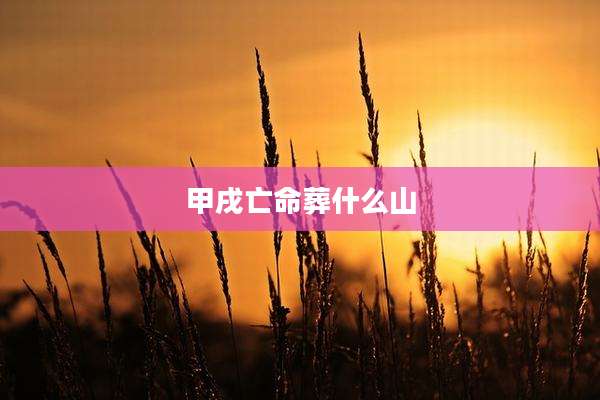 甲戌亡命葬什么山