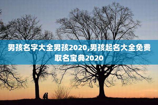 男孩名字大全男孩2020,男孩起名大全免费取名宝典2020